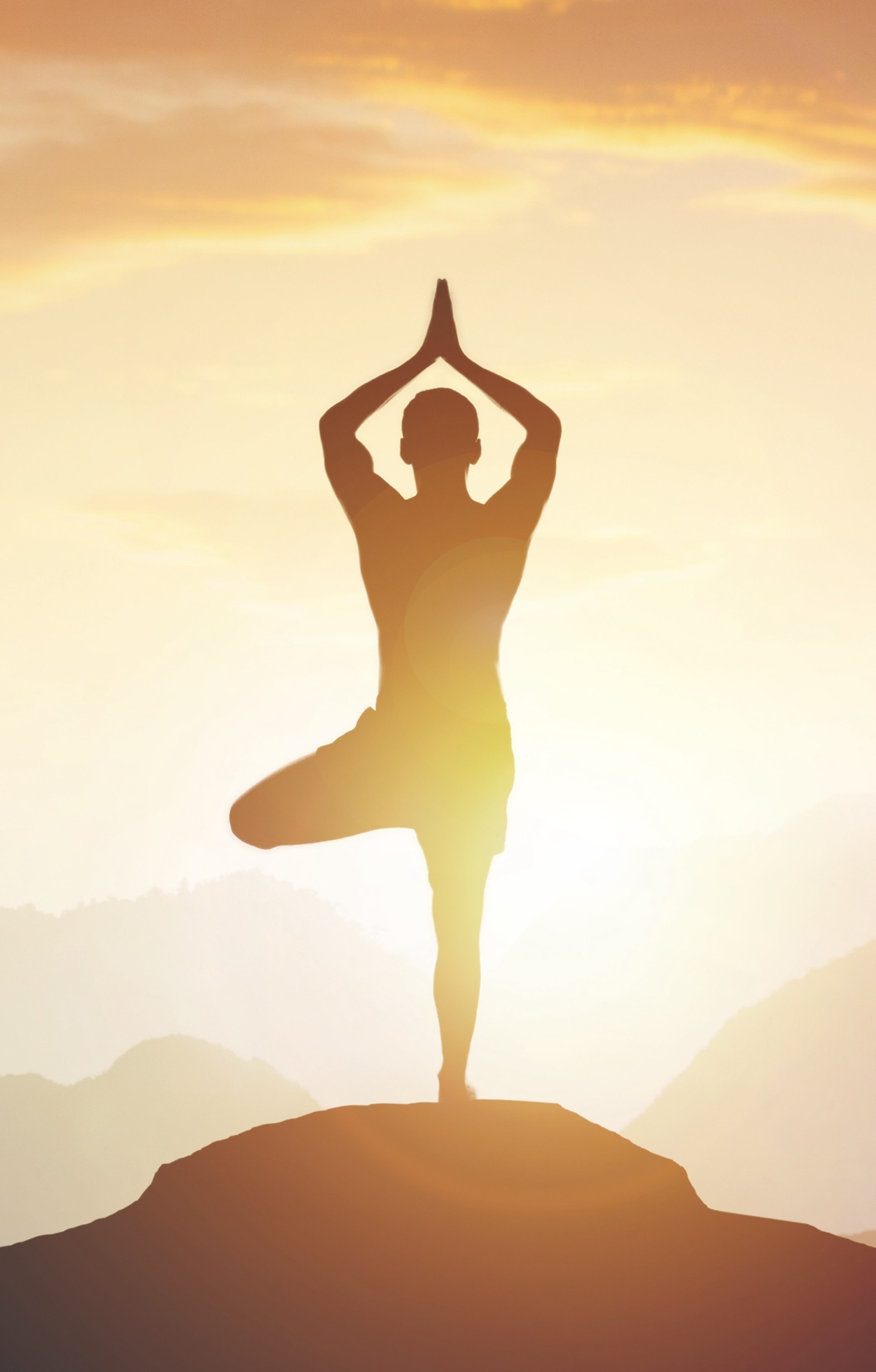A man in tree pose — yoga at the heart of the retreat