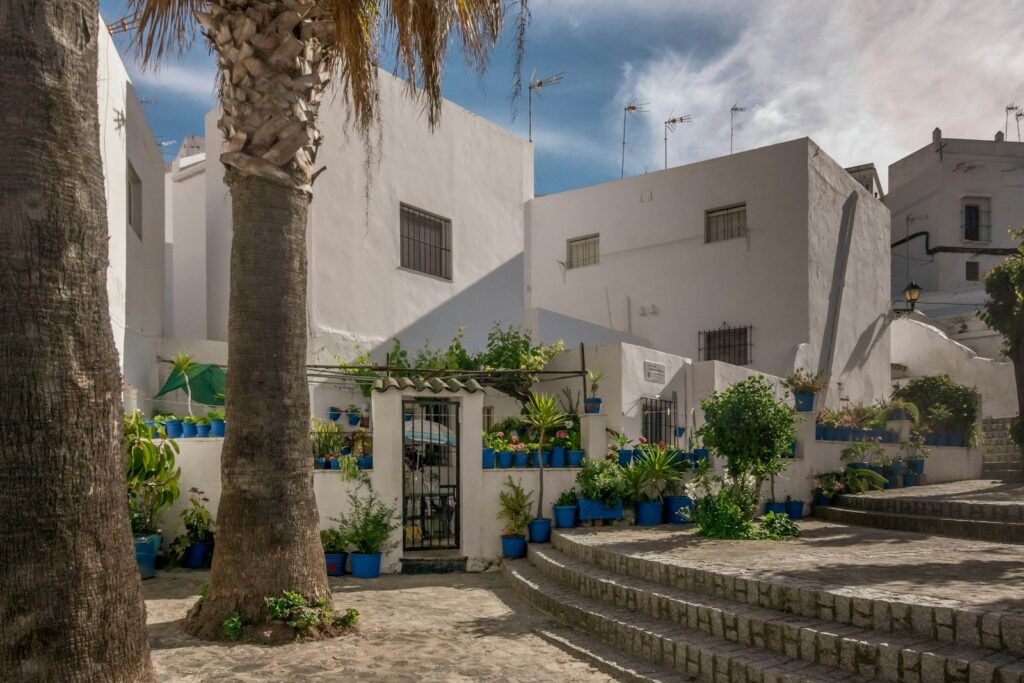 A white-washed lane with palms in Vejer de la Frontera