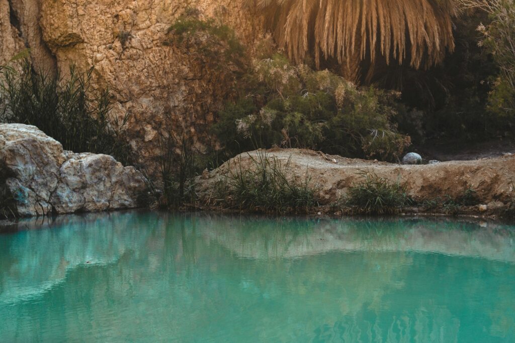 A Tunisian mountain oasis near Gafsa, with spring-fed pools and palms against the desert rock